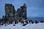 Pinguins chinstrap se reúnem em rochedo no alto de Half Moon Island, na Antártida